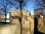 IJsbeer
<br/>
Alexander Mooi, 2014-03-06